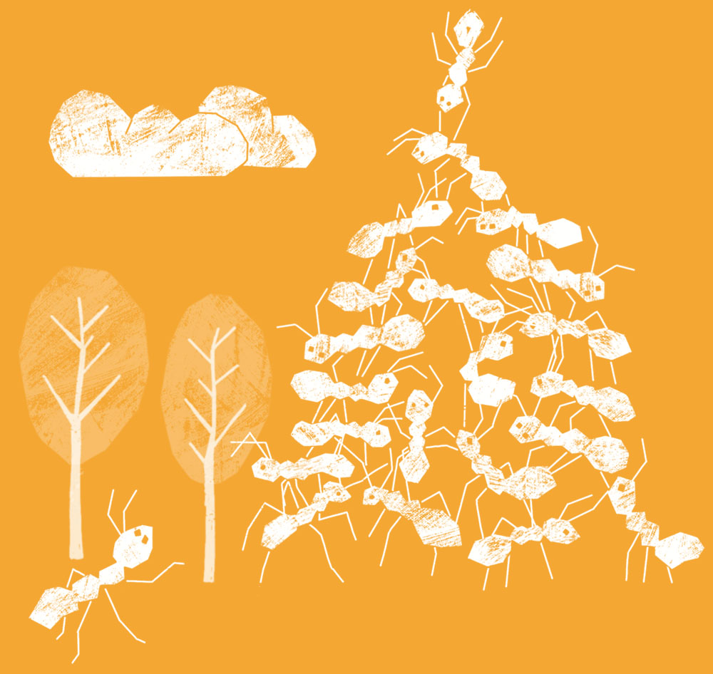 Illustrerad bild av myror